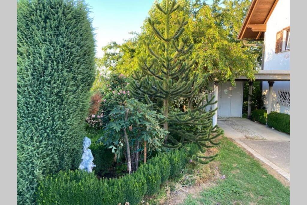 Apartma Jozica In Toncek Sveti Jurij ob Scavnici Екстер'єр фото